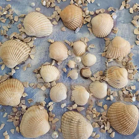 Westereck Διαμέρισμα