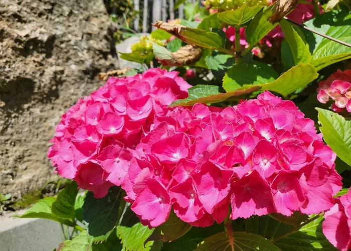 Westereck Lägenhet *